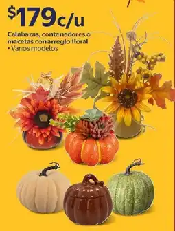 Walmart Calabazas, contenedores o macetas con arreglo floral oferta