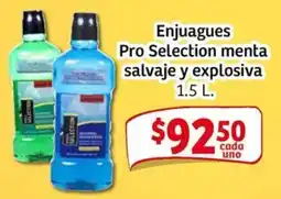 Soriana Mercado Pro Selection menta salvaje y explosiva oferta