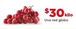 Bodega Aurrerá Uva red globo oferta
