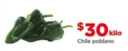 Bodega Aurrerá Chile poblano oferta