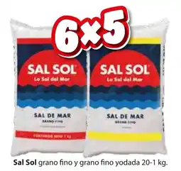 Zorro Sal Sol grano fino y grano fino yodada oferta
