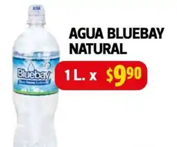 Farmacias Guadalajara Bluebay agua natural oferta