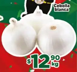 El Florido Cebolla blanca oferta