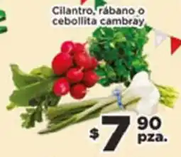 El Florido Cilantro, rábano o cebollita cambray oferta