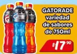 El Florido Gatorade oferta