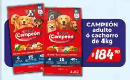 El Florido Campeón adulto ó cachorro oferta