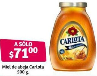 Miel de Abeja Carlota 500g