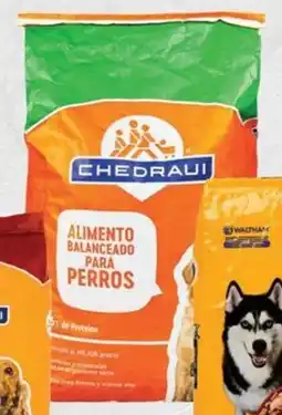 Chedraui Chedraui alimento para perro oferta