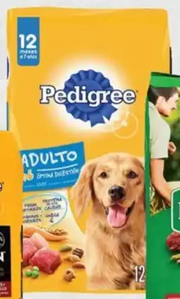 Chedraui Pedigree adulto oferta
