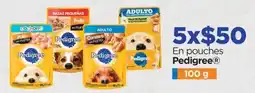 Chedraui Pedigree pouches oferta