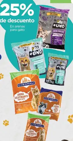 Chedraui En arenas para gato oferta