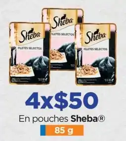 Chedraui En pouches Sheba oferta