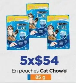 Chedraui En pouches Cat Chow oferta
