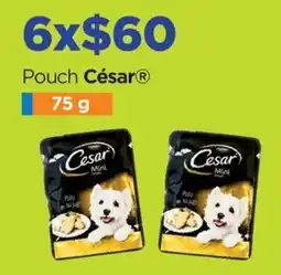 Chedraui Pouch César oferta
