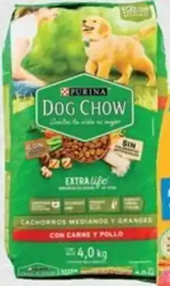 Chedraui Dog Chow oferta