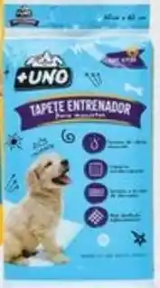 Chedraui Tapete entrenador para perro oferta