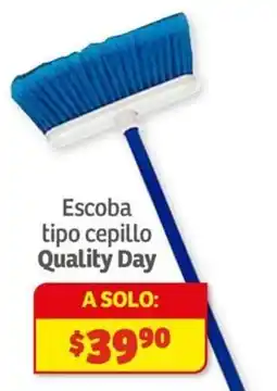 Soriana Híper Quality day escoba tipo cepillo oferta