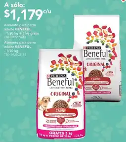 City Club Beneful alimento para perro adulto oferta