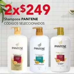 City Club Pantene shampoos oferta