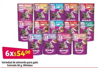 Variedad de Alimento para Gato Húmedo Whiskas 6x85g