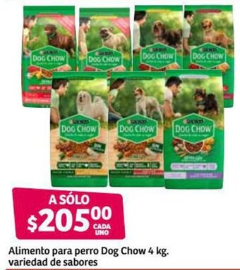 Soriana Híper Alimento para Perro Dog Chow 4kg oferta