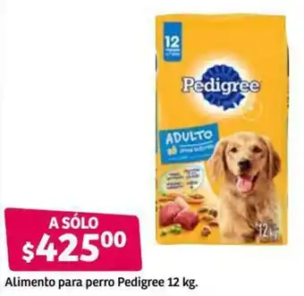 Soriana Híper Alimento para Perro Pedigree 12kg oferta