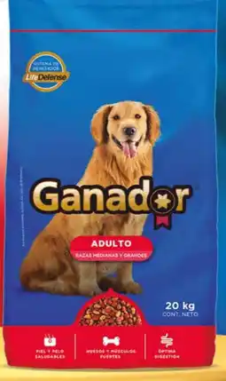 Zorro Ganador adulto oferta