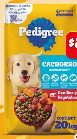 Zorro Pedigree cachorro oferta