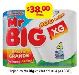 Zorro Mr. Big higienico XG oferta