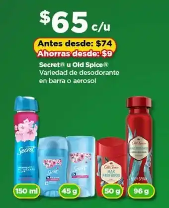 Secret u Old Spice desodorante en barra o aerosol