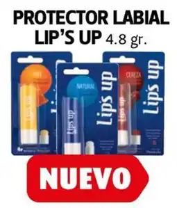 Farmacias Guadalajara Lips Up protector labial oferta