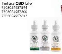 City Club CBD Life tintura oferta
