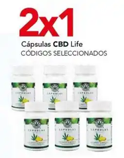 City Club CBD Life cápsulas oferta