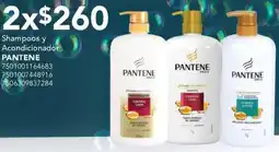 City Club Pantene shampoos y acondicionador oferta