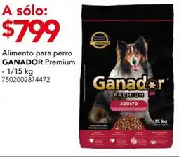 City Club Ganador premium alimento para perro oferta