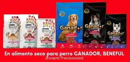Soriana Híper En alimento seco para perro ganador, beneful oferta