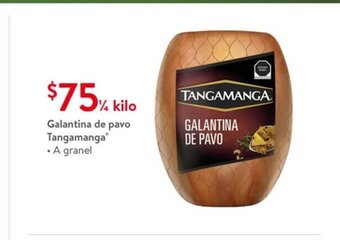 Walmart Galantina de pavo Tangamanga 1/4 Kilo oferta