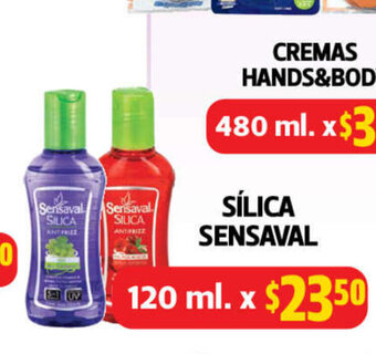 Farmacias Guadalajara Silica Sensaval 120ml oferta