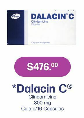 Dalacin c 300mg cap caj c/16