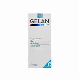 Farmacias YZA Gelan Plus Gel Antiácido 250Ml oferta