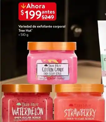 Tree Hut exfoliante corporal