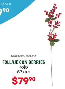 Woolworth Follaje con berries rojo oferta