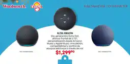Woolworth Alexa Amanzon oferta