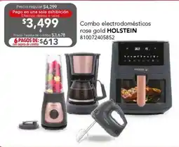 City Club Holstein electrodomésticos rose gold oferta