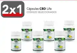 City Club CBD cápsulas life oferta