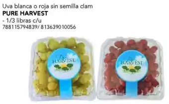 Pure harvest uva blanca o roja sin semilla clam
