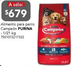 City Club Purina alimento para perro campeón oferta