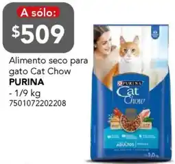 City Club Purina alimento seco para gato cat chow oferta