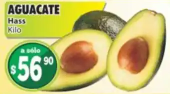 Aguacate hass