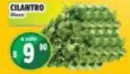 Casa Ley Cilantro oferta